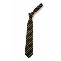 Clip-on tie